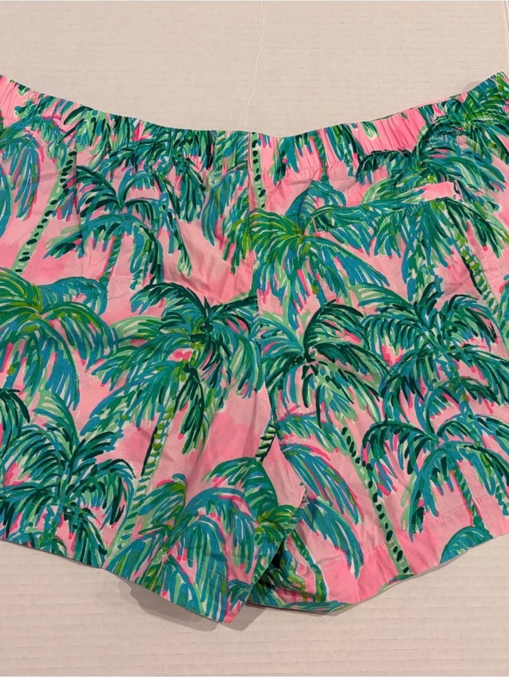 Lilly Pulitzer ocean view shorts. Size large. EUC - Picture 2 of 4